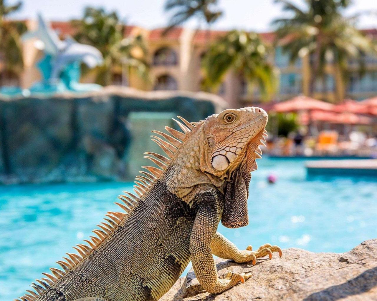 Bluegreen Vacations La Cabana Resort, An Ascend Collection Palm Beach Exterior photo